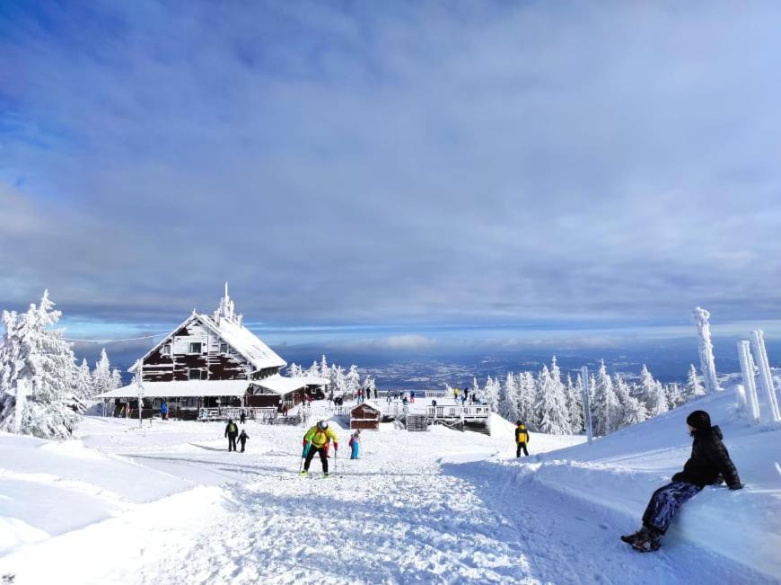 Bed and Breakfast Osrodek Wypoczynkowy Zapalenica Щирк Экстерьер фото